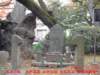 dscf0258_small.jpg