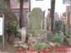 dscf0288_small.jpg