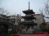 dscf0041_small.jpg
