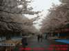 dscf0046_small.jpg