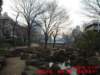 dscf00522_small.jpg