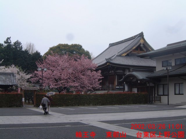 dscf00602.jpg