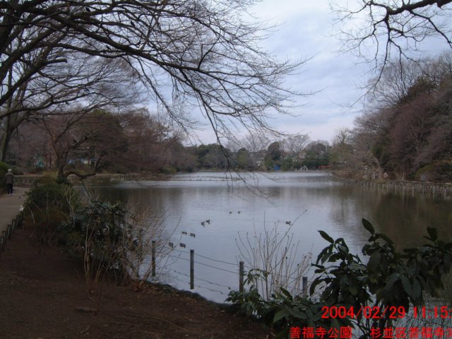 dscf00613.jpg