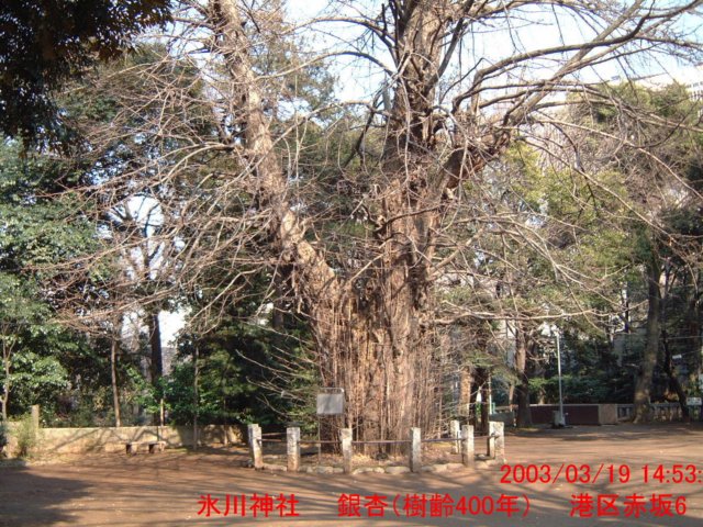 dscf0075.jpg