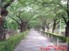 dscf00792_small.jpg