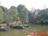 dscf00813_small.jpg