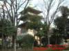 dscf00823_small.jpg
