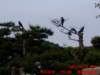 dscf00824_small.jpg