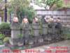 dscf00932_small.jpg