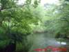 dscf01172_small.jpg