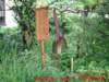 dscf0119_small.jpg
