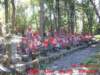 dscf01332_small.jpg