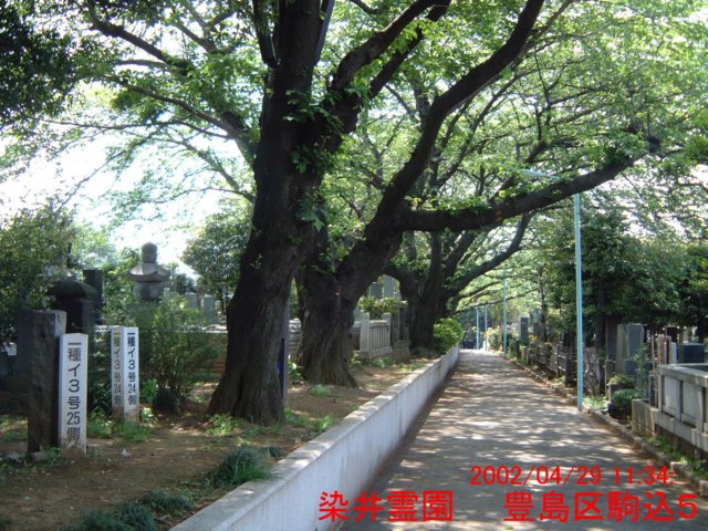 dscf0138.jpg