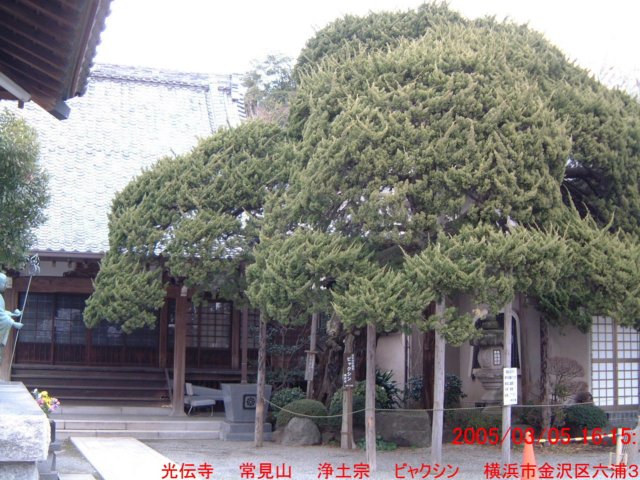 dscf01503.jpg