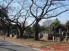dscf0159_small.jpg
