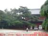 dscf01685_small.jpg