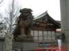 dscf01692_small.jpg
