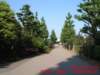 dscf01852_small.jpg