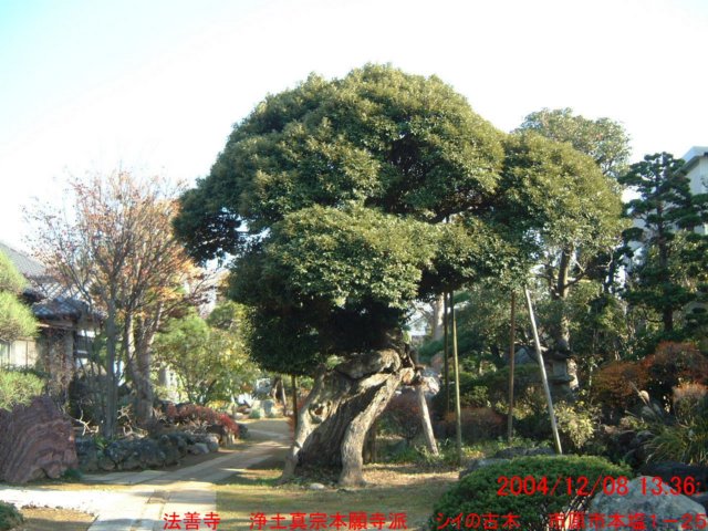dscf0188.jpg