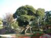dscf0188_small.jpg