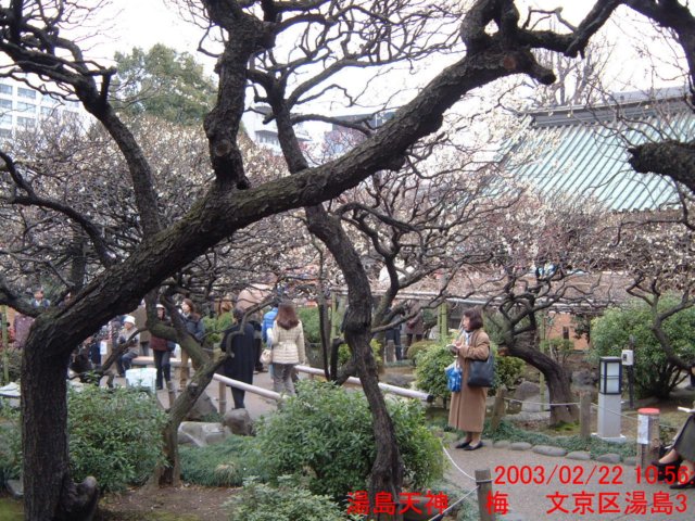 dscf0189.jpg