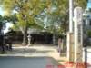 dscf0203_small.jpg