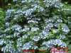 dscf0214_small.jpg
