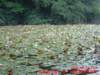 dscf0215_small.jpg