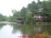 dscf02212_small.jpg