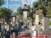 dscf0229_small.jpg