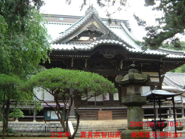 dscf0231.jpg