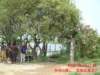 dscf0236_small.jpg