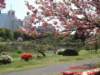 dscf02433_small.jpg