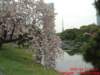dscf02473_small.jpg