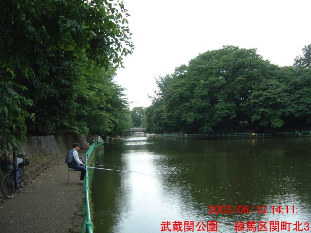 dscf02483.jpg