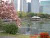 dscf0253_small.jpg