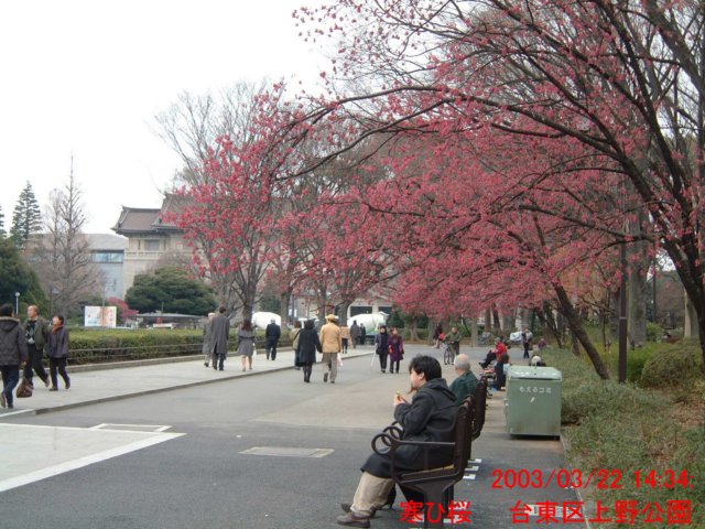 dscf02732.jpg