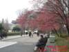 dscf02732_small.jpg
