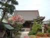 dscf02774_small.jpg