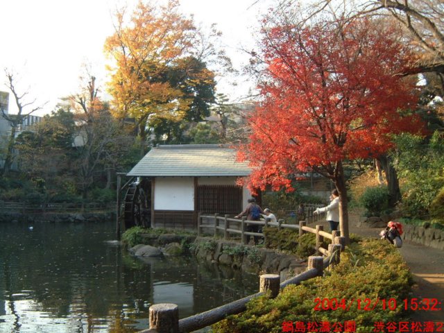 dscf03123.jpg