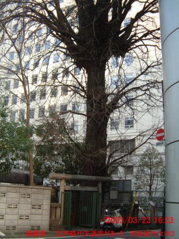 dscf0344.jpg