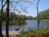 dscf03453_small.jpg