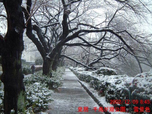 dscf0602.jpg