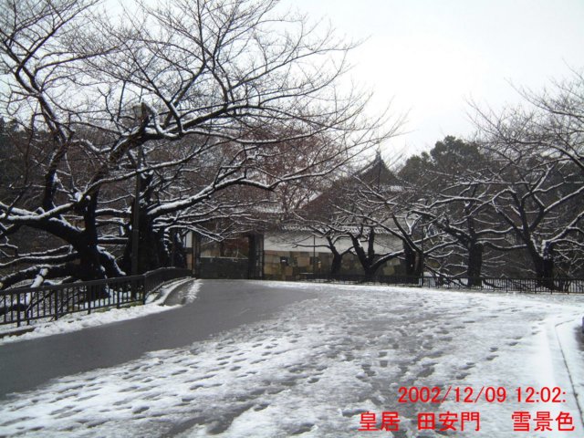 dscf0616.jpg