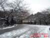 dscf0616_small.jpg