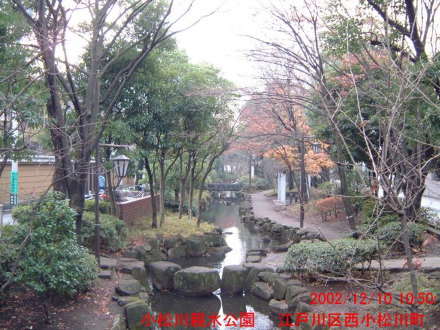 dscf0647.jpg