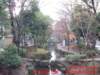 dscf0647_small.jpg