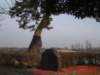 dscf0793_small.jpg