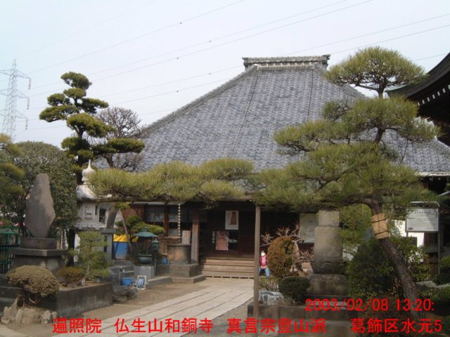 dscf0796.jpg