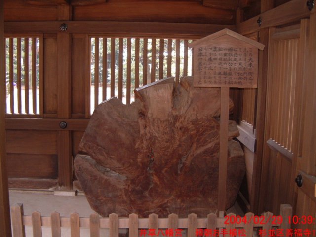 dscf0048.jpg